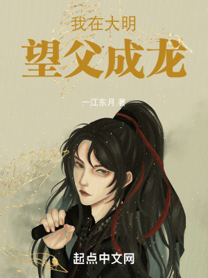 我在大明望父成龍 我在大明望父成龍