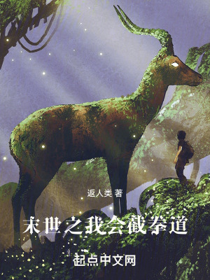 末世之我會截拳道