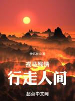 戎馬殘情：行走人間