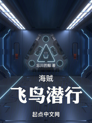 海賊:飛鳥潛行 海賊:飛鳥潛行