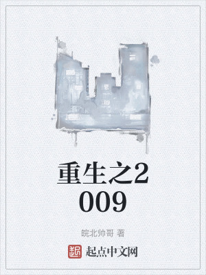 重生之2009