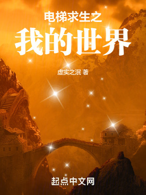 電梯求生之我的世界