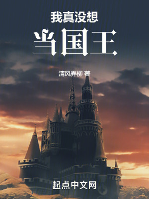 我真沒想當國王