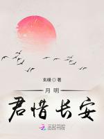 月明君惜長安