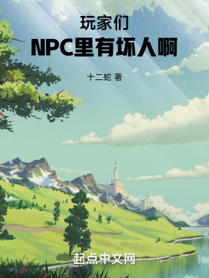 玩家們，NPC裏有壞人啊