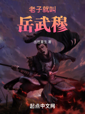 老子就叫嶽武穆