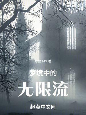 夢境中的無限流 夢境中的無限流