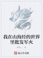 我在山海經的世界裏批發軍火