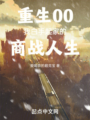 重生00，我白手起家的商戰人生