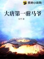 大唐第一駙馬爺