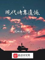 現代詩集遺憾 現代詩集遺憾