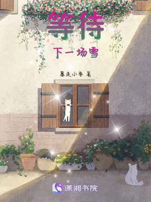 等待，下一場雪