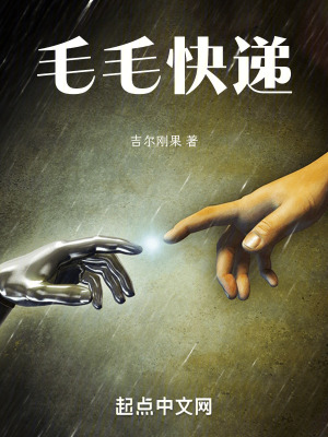 毛毛快遞