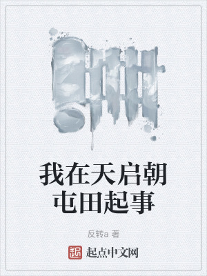 我在天啟朝屯田起事