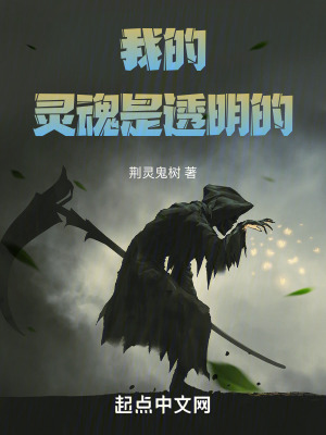 我的靈魂是透明的 我的靈魂是透明的