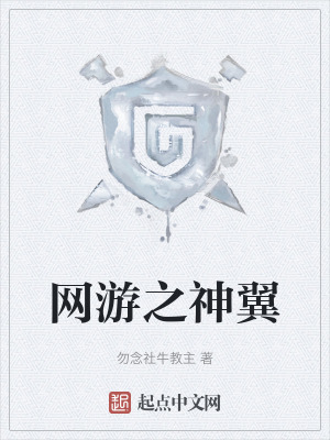 網遊之神翼 網遊之神翼
