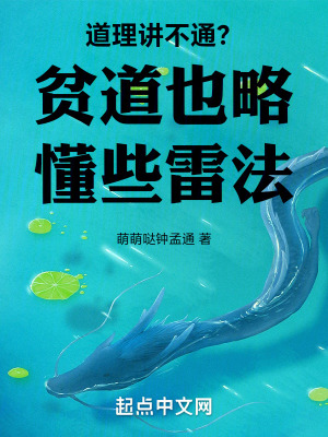 道理講不通？貧道也略懂些雷法
