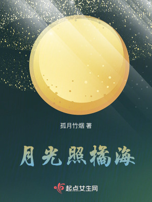 月光照橘海