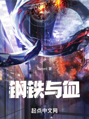 鋼鐵與血 鋼鐵與血