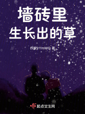 牆磚裏生長出的草