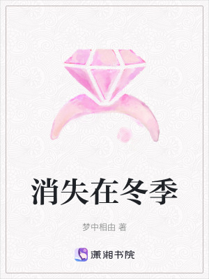 消失在冬季
