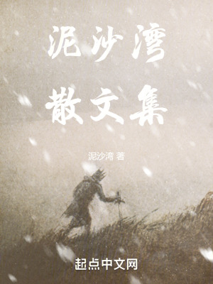 泥沙灣散文集