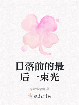 日落前的最後一束光