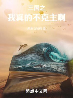 三國之我真的不克主啊
