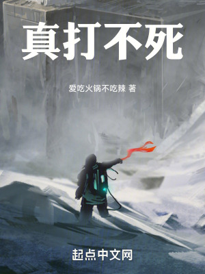 真打不死 真打不死