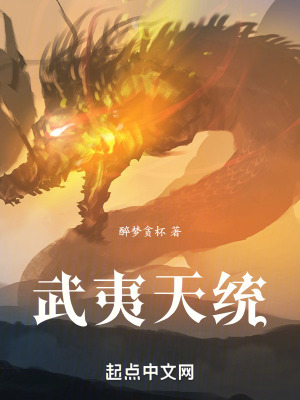 武夷天統 武夷天統