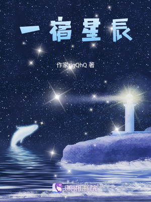 一宿星辰 一宿星辰