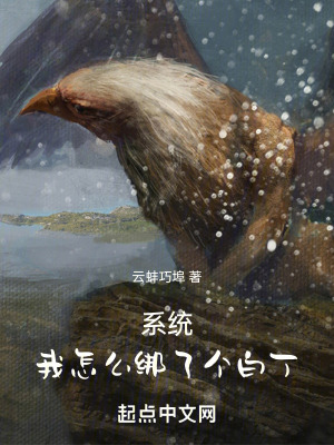 係統：我怎麽綁了個白丁