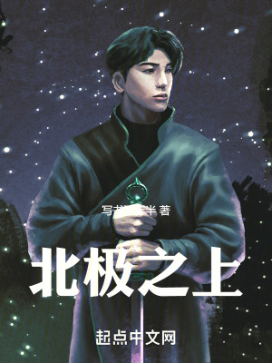 北極之上 北極之上