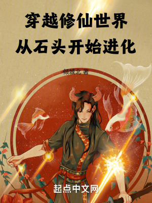 穿越修仙世界,從石頭開始進化 穿越修仙世界,從石頭開始進化