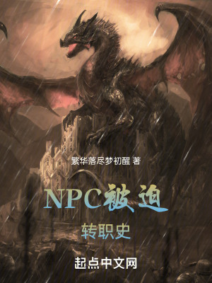 NPC被迫轉職史 NPC被迫轉職史
