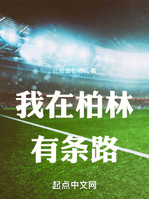 我在柏林有條路