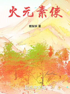 火元素使 火元素使