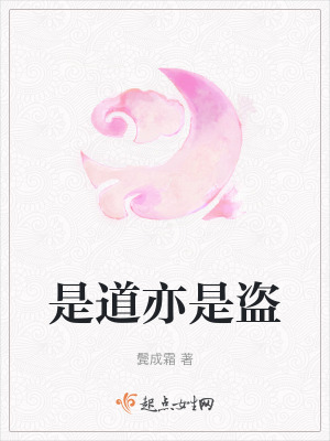是道亦是盜 是道亦是盜