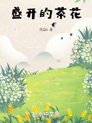 盛開的茶花 盛開的茶花