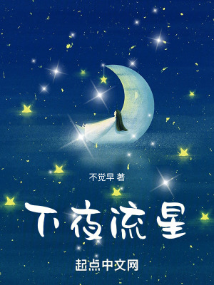 下夜流星