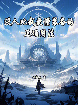 沒人比我更懂裝備的正確用法