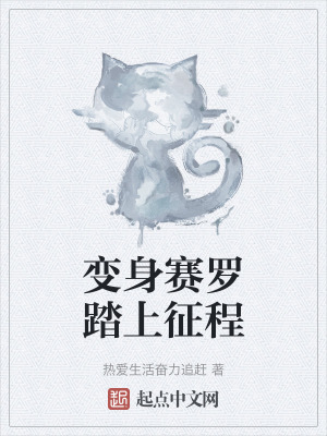 變身賽羅踏上征程 變身賽羅踏上征程