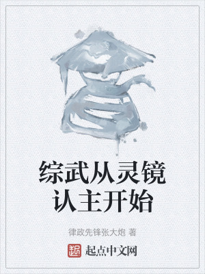 綜武從靈鏡認主開始 綜武從靈鏡認主開始