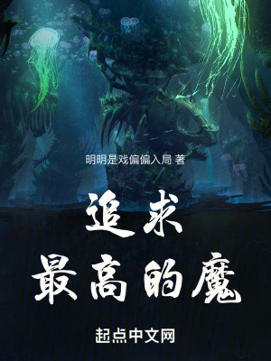 追求最高的魔