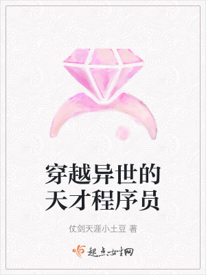 穿越異世的天才程序員 穿越異世的天才程序員