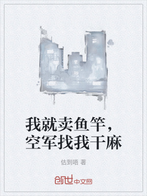 我就賣魚竿，空軍找我幹麻