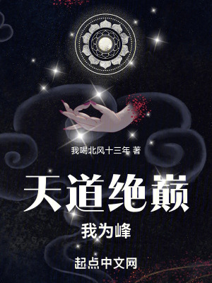 天道絕巔我為峰