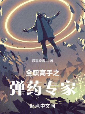全職高手之彈藥專家