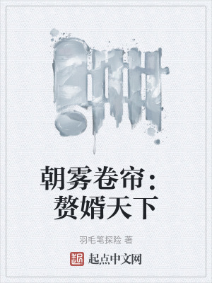 朝霧卷簾：贅婿天下
