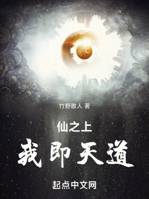 仙之上，我即天道
